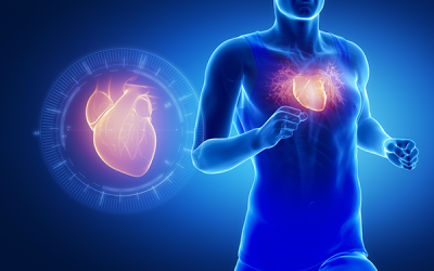 Sport et diminution des risques cardiovasculaires